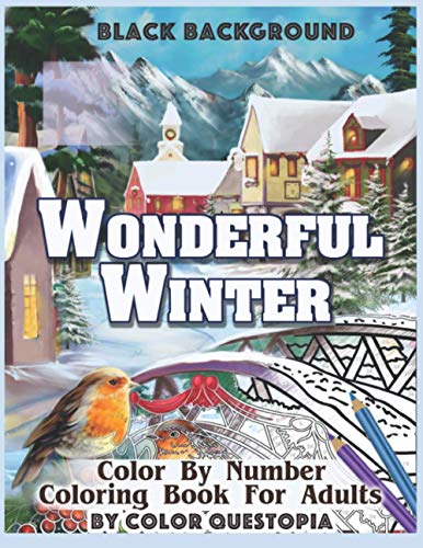 color questopia - wonderful winter number coloring - AbeBooks